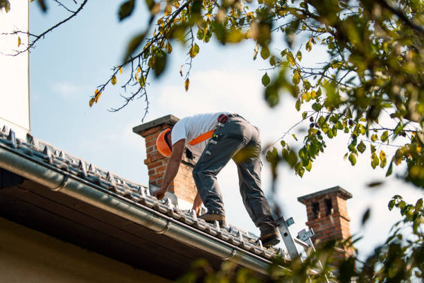 Roof Gutter Cleaning in Brice Prairie, WI